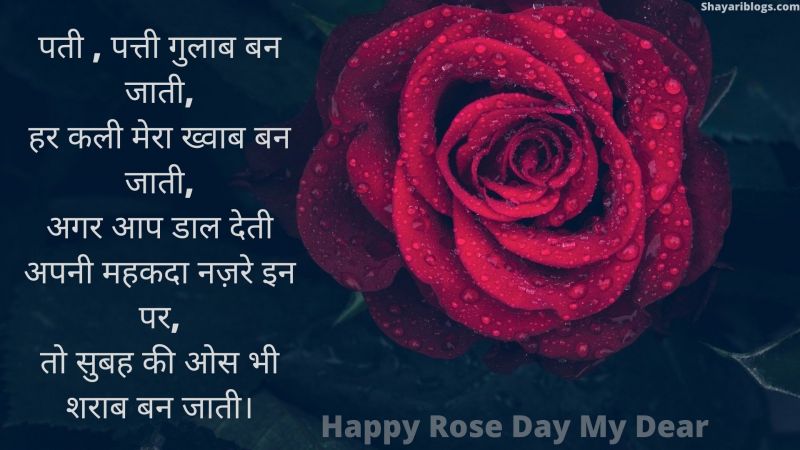 rose day special shayari image
